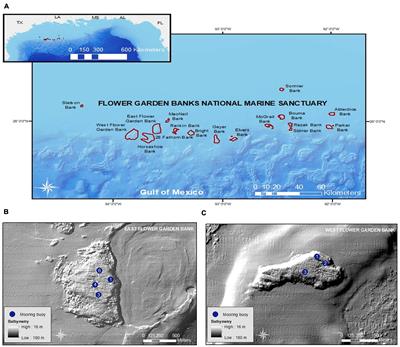 Key Life History Attributes and Removal Efforts of Invasive Lionfish (Pterois volitans) in the Flower Garden Banks National Marine Sanctuary, Northwestern Gulf of Mexico